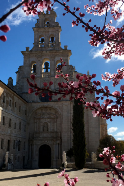 Los Monasterios de Santa María de La Vid y Santo Domingo de Silos se unen en el "Camino de la Calma, una iniciativa cultural y espiritual.