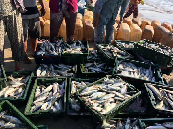 San Agustín al comentar el evangelio de la pesca milagrosa lo relaciona con otra pesca, la que ven sus discípulos después de la resurrección.