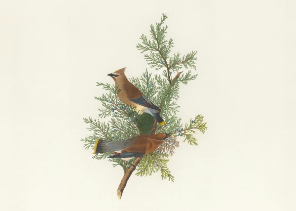 El evangelio invita a la conversión y a dejarlo todo para seguir a Jesús, en referencia no solo a vienes materiales.